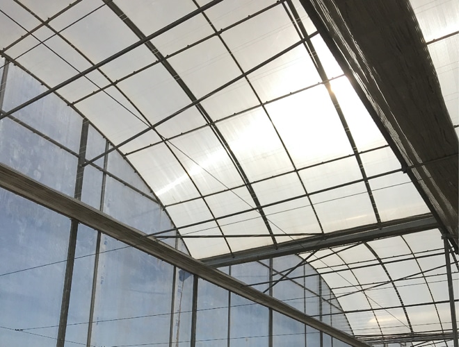 Polycarbonate Canopies-Solid Flat/Valuview Opal