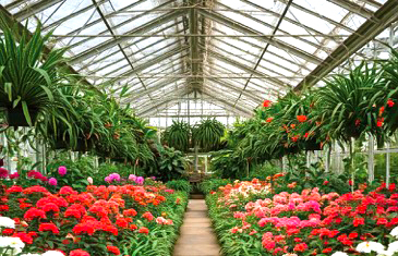 Secrets to Successful Gardening