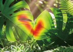 Conversion of Sunlight to Energy