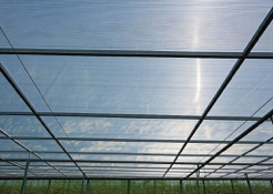 Cubiertas de invernaderos